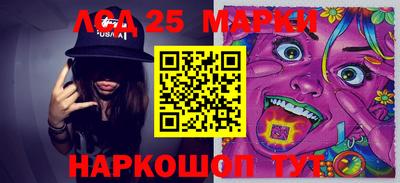 МДПВ Кингисепп