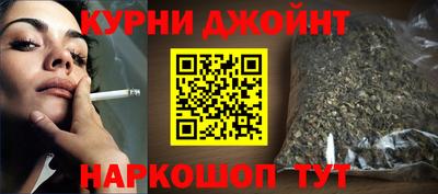 МДПВ Кингисепп