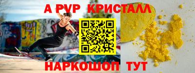 МДПВ Кингисепп