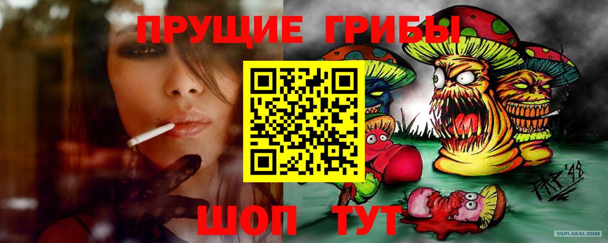 Псилоцибиновые грибы Psilocybe  продажа наркотиков  Лабинск  Вход с VPN 
